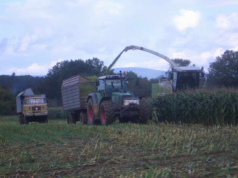 jaguar_fendt_w50.jpg