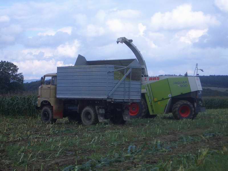 jaguar_fendt_w50_5.jpg