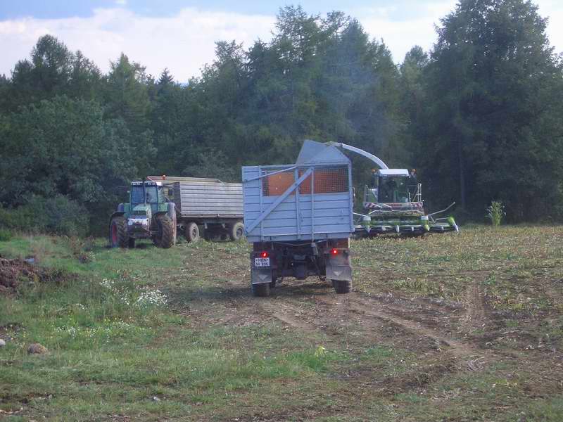 jaguar_fendt_w50_8.jpg