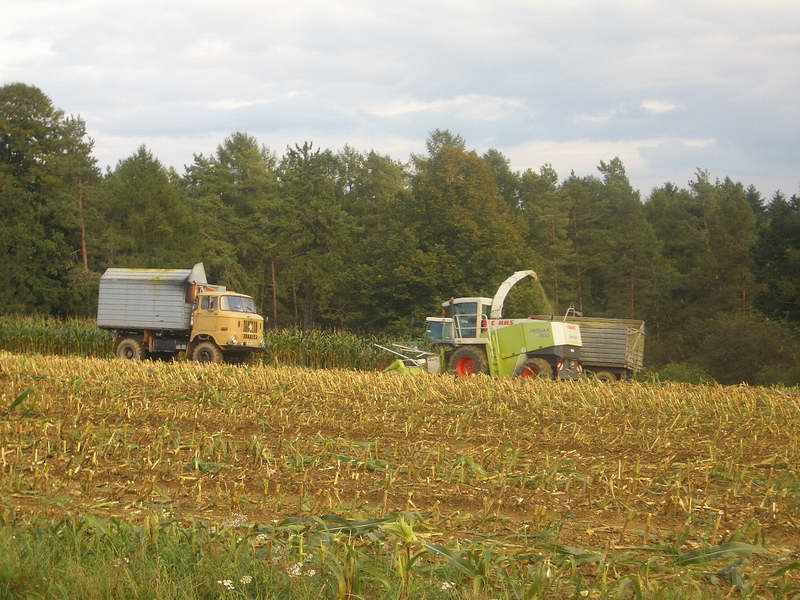 jaguar_fendt_w50_9.jpg