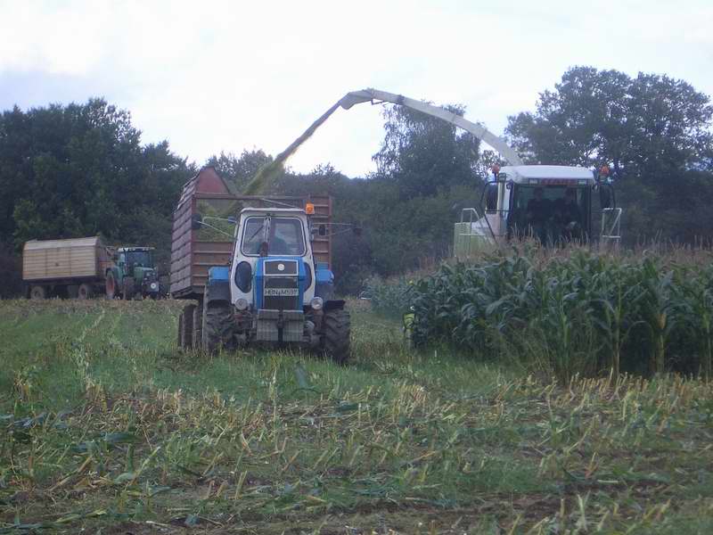 jaguar_fendt_zt_303.jpg