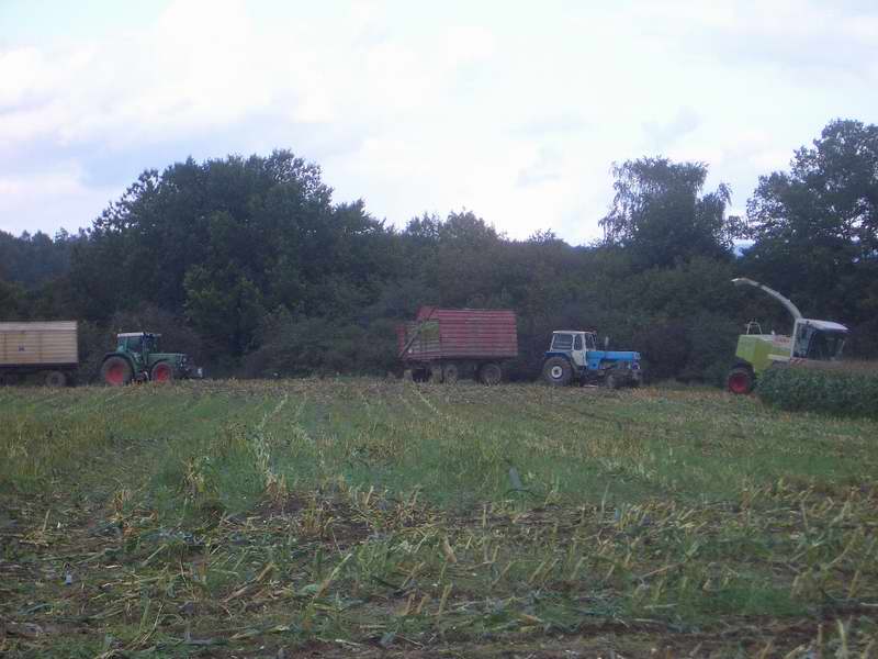 jaguar_fendt_zt_303_2.jpg