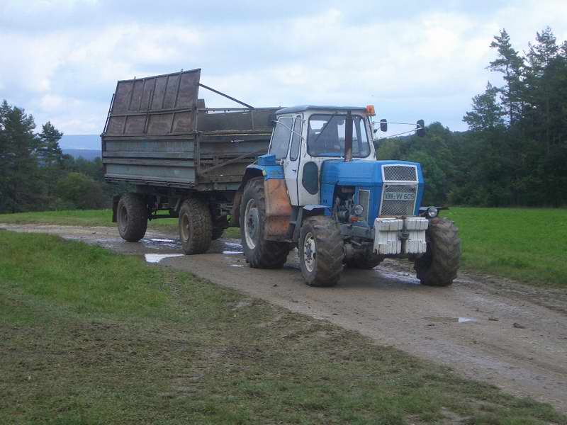 zt_303.jpg