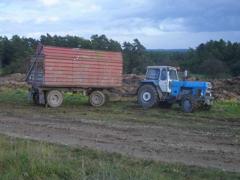 zt_303_3.jpg
