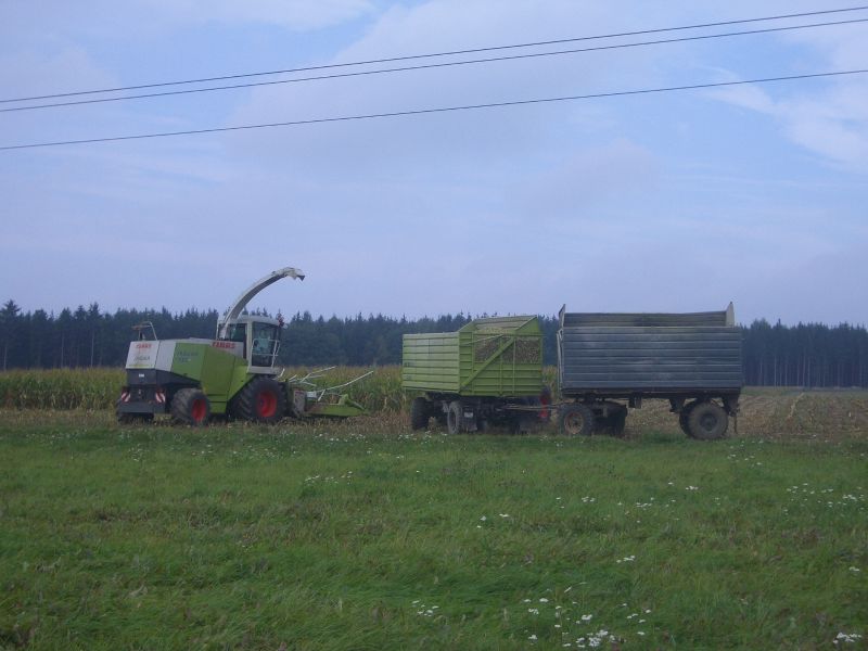 IMGP6743.jpg