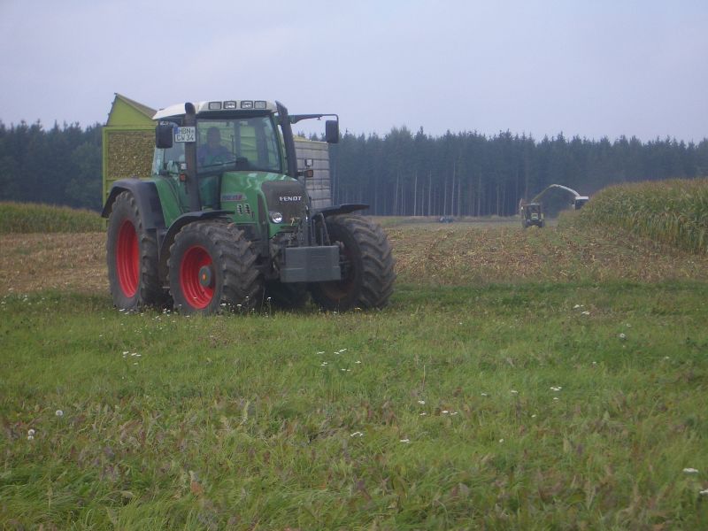 bilder/16_8_2002_2/mega_4.jpg