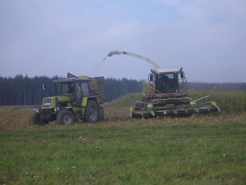 bilder/21_5_2002_3/fendt_716_+_zt_303_9.jpg