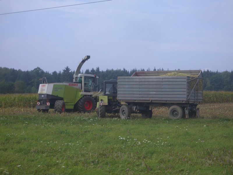 IMGP6749.jpg