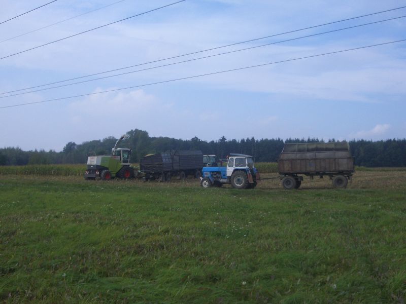 IMGP6759.jpg