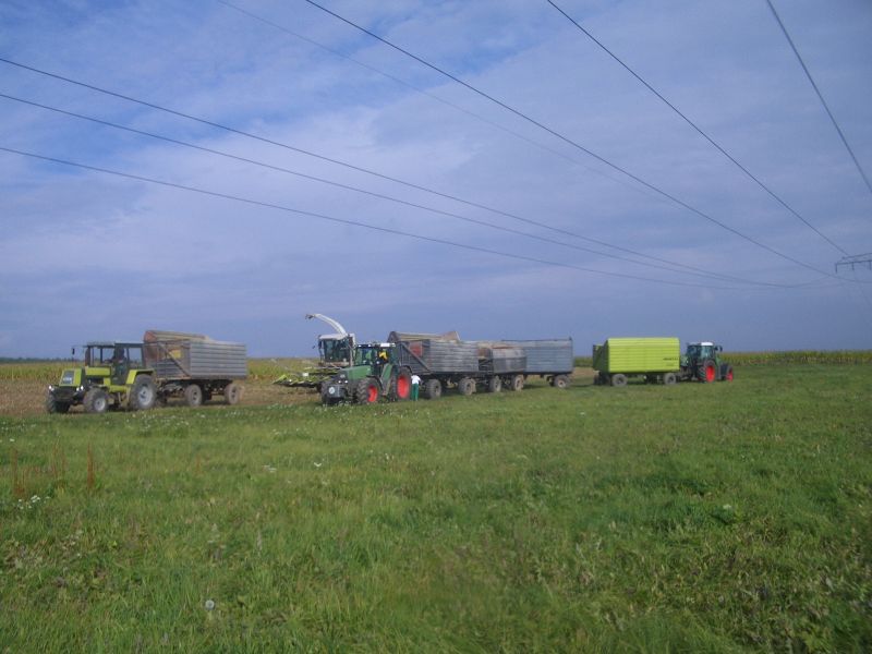 bilder/10_10_2014/CIMG8352.jpg