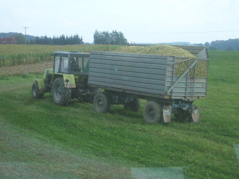 bilder/30_9_2006/IMGP6806.jpg