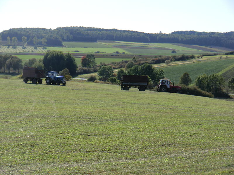 CIMG5246.jpg