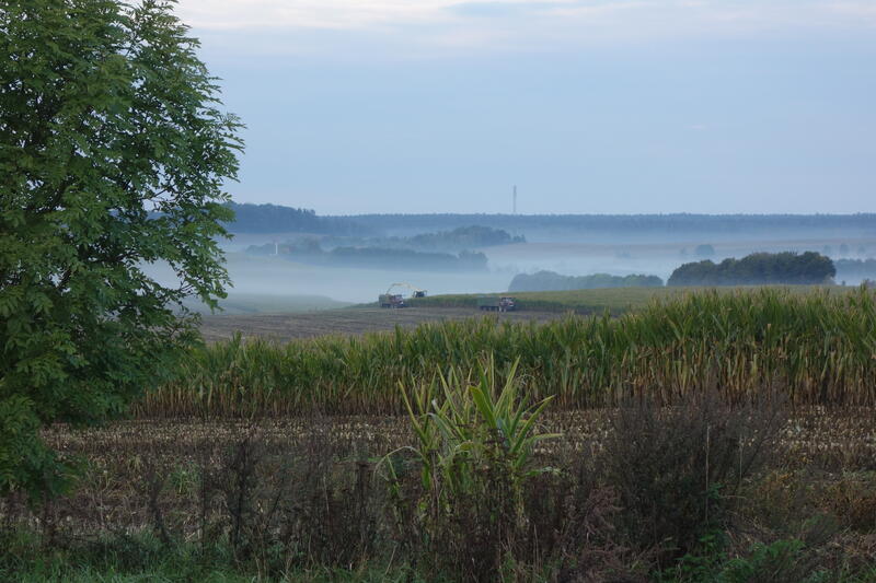 bilder/30_9_2022/DSC03828.jpg