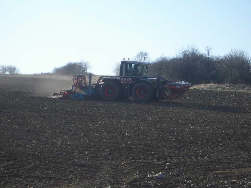xerion_8.jpg