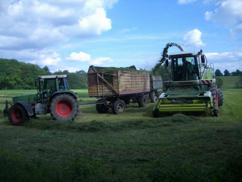 bilder/31_5_2005/jaguar_fendt_514_6.jpg
