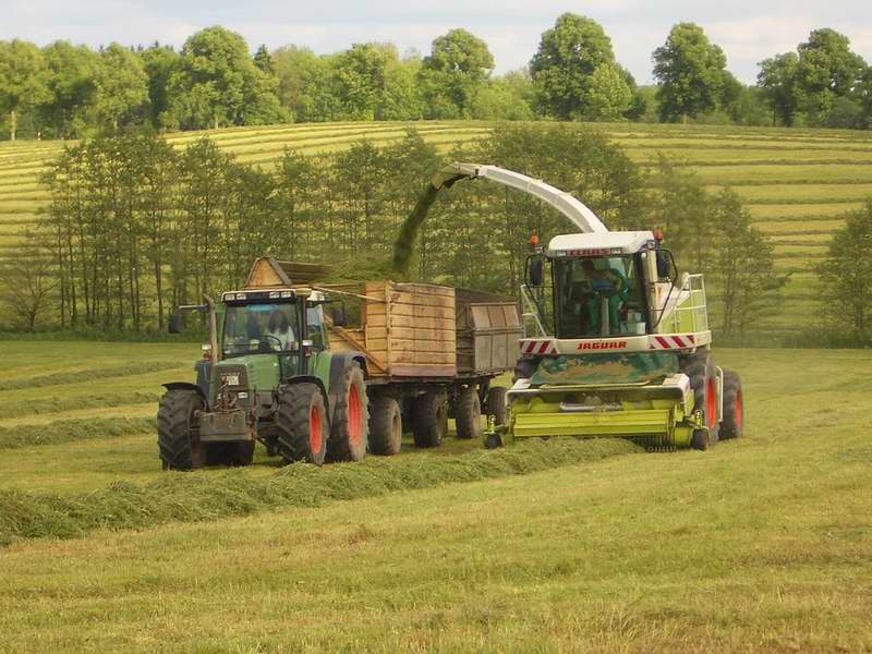 jaguar_fendt_514_9.jpg
