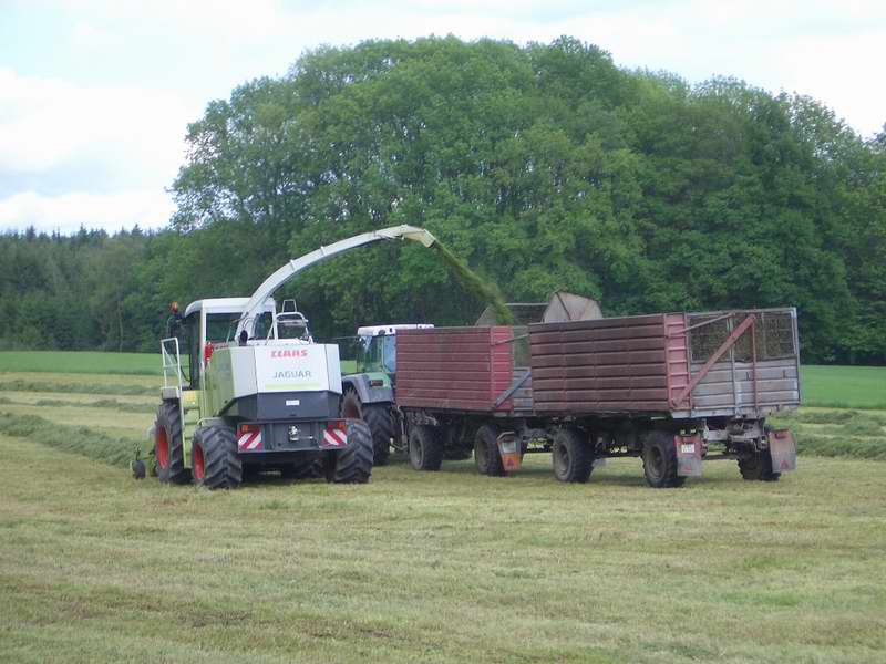 bilder/31_5_2005/jaguar_fendt_824_6.jpg