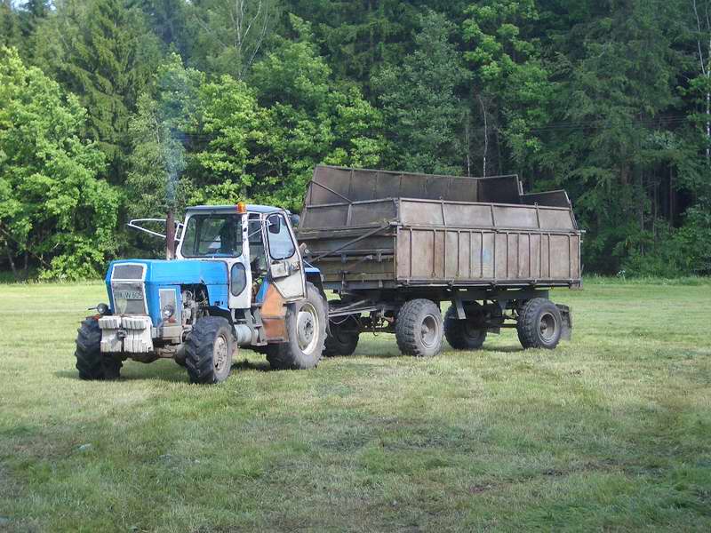 zt_303.jpg