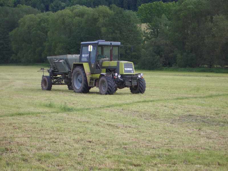 bilder/31_5_2005/zt_323.jpg