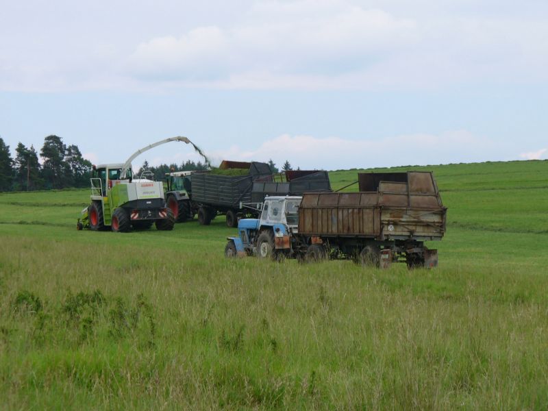 P1010344.jpg