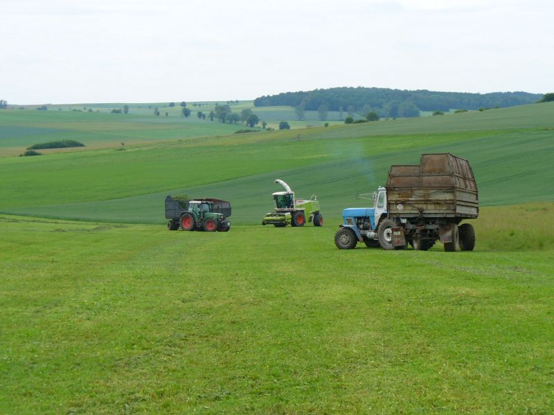 P1010346.jpg