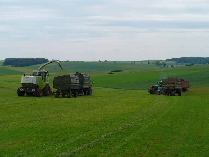bilder/31_5_2007/P1010352.jpg