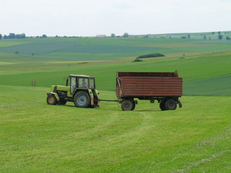 P1010365.jpg