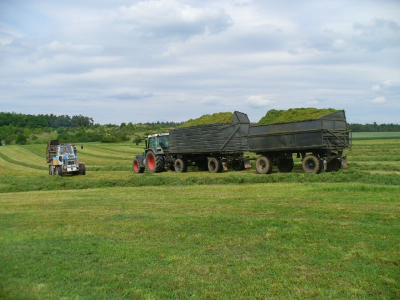 P1010450.jpg