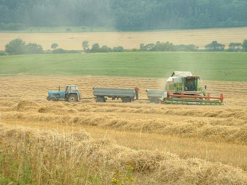 bilder/19_9_2005/jaguar_fendt_zt_323_robur.jpg