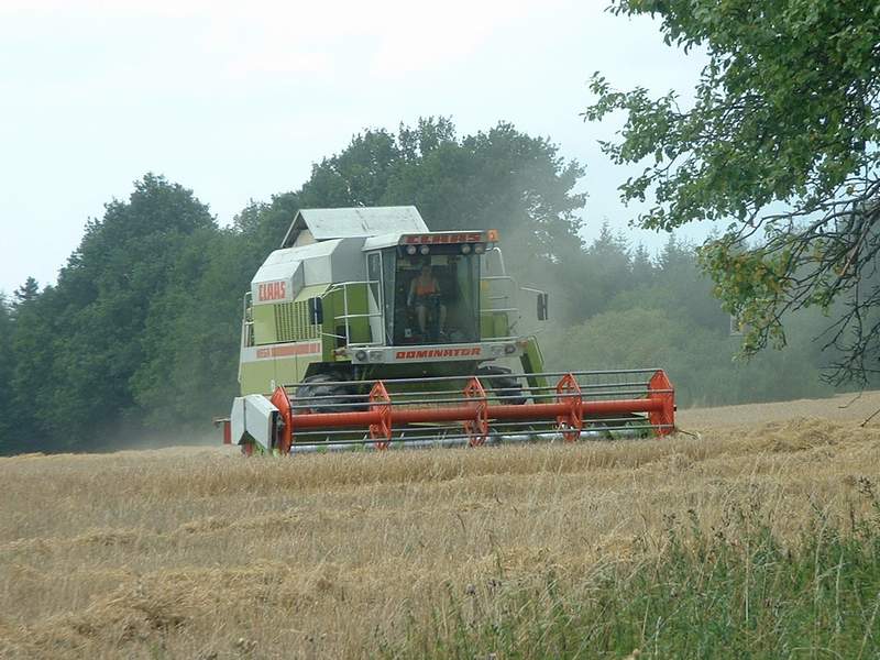 bilder/18_7_2005_2/k700_8.jpg