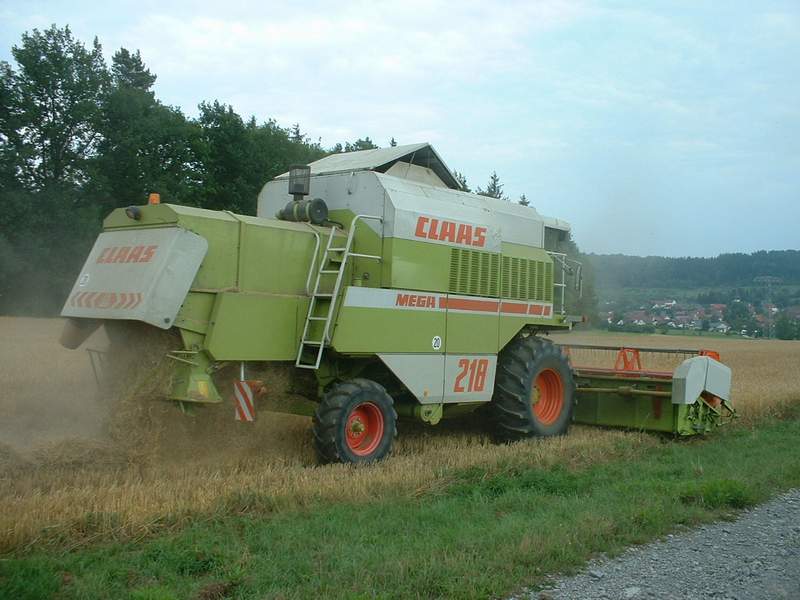 bilder/31_7_2003/mega_30.jpg