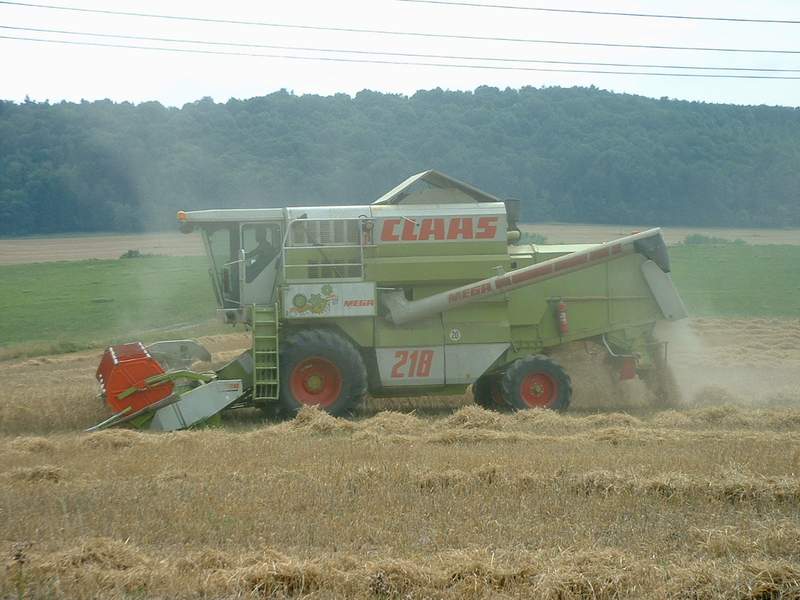 bilder/31_7_2003/mega_6.jpg
