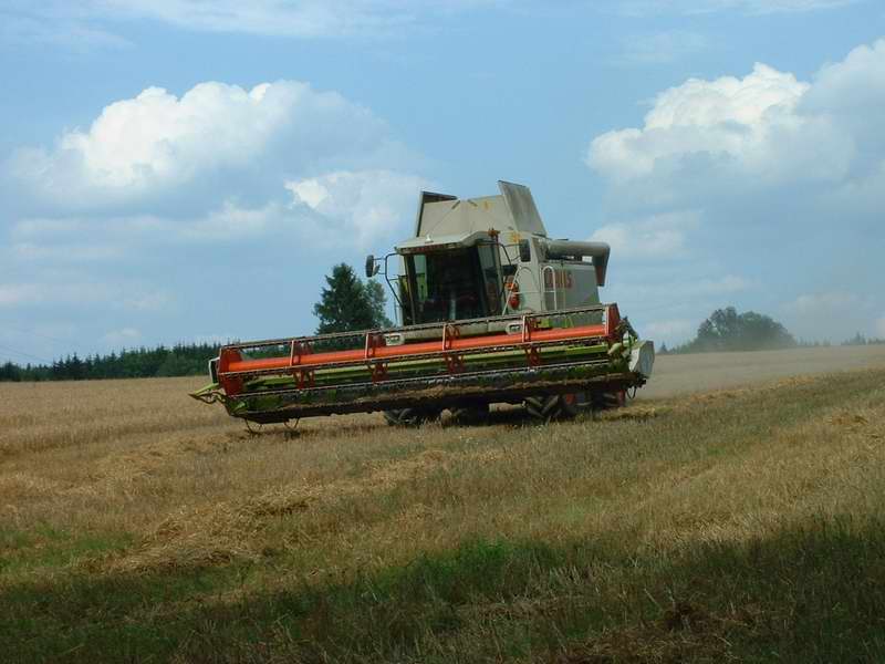 bilder/31_7_2003_3/lexion.jpg