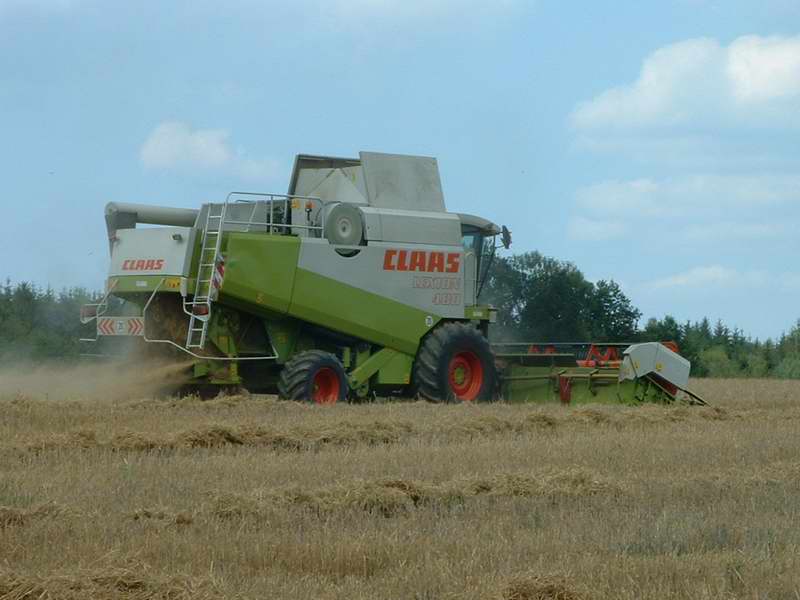 lexion_11.jpg