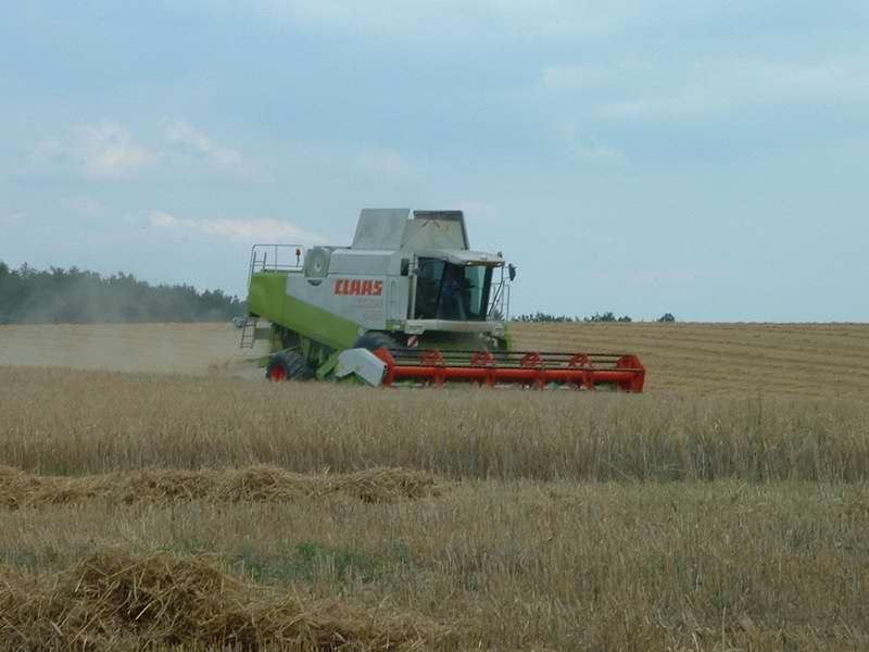 lexion_12.jpg