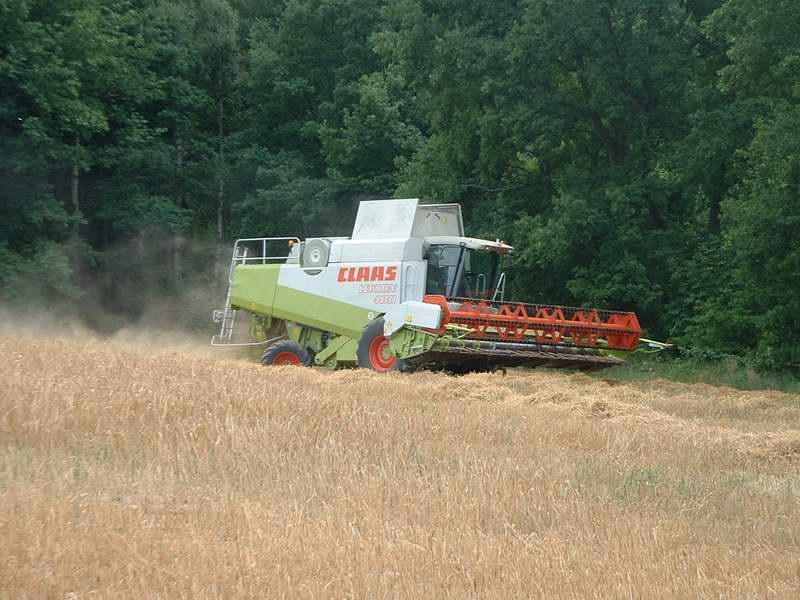 bilder/31_7_2003_3/lexion_14.jpg