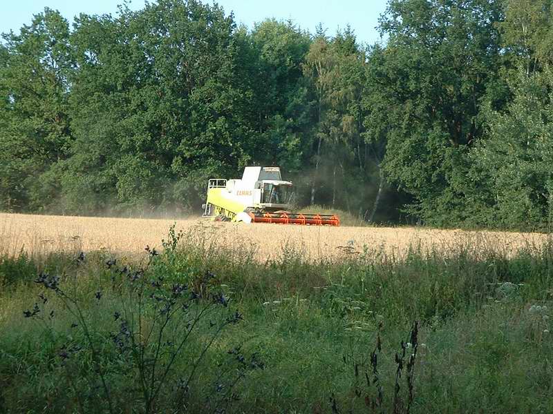 bilder/31_7_2003_3/lexion_18.jpg