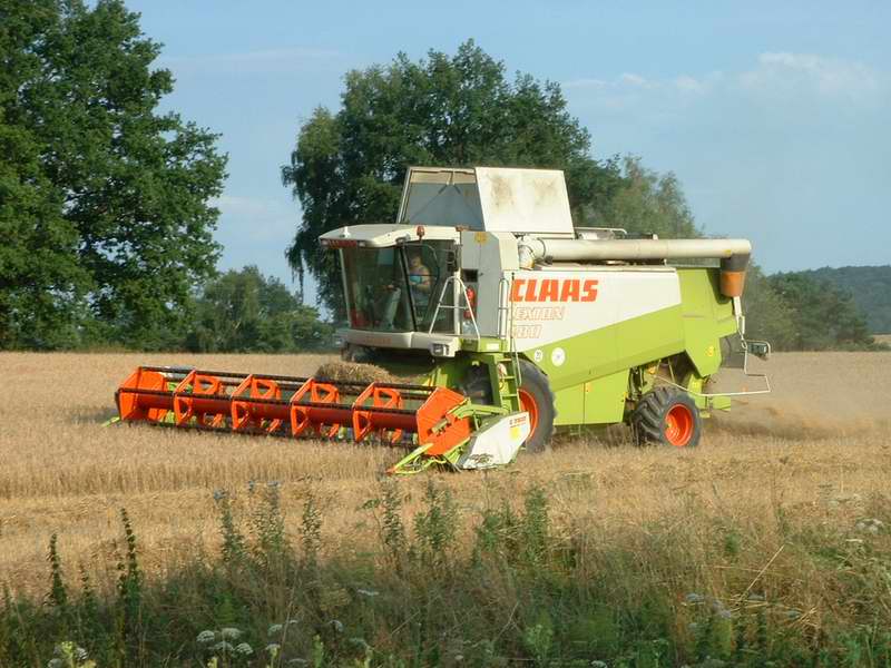 lexion_19.jpg