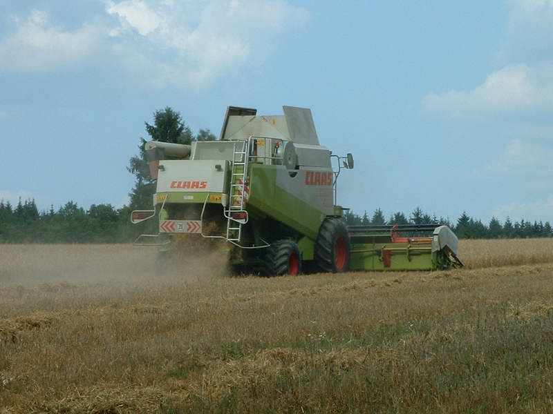 lexion_5.jpg