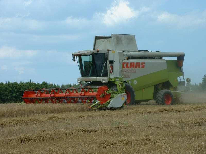 bilder/31_7_2003_3/lexion_6.jpg