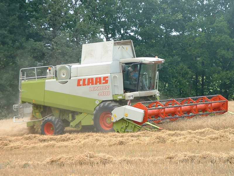 lexion_9.jpg