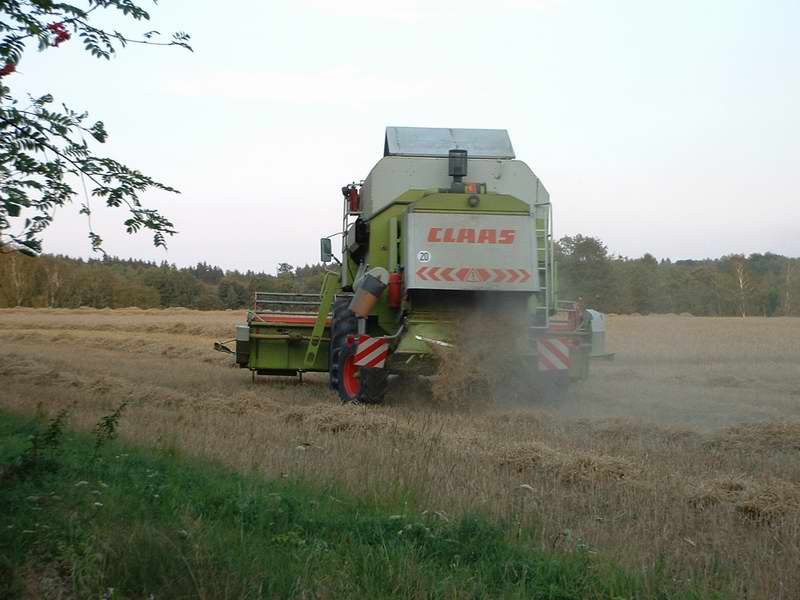 bilder/31_7_2003_4/mega_15.jpg