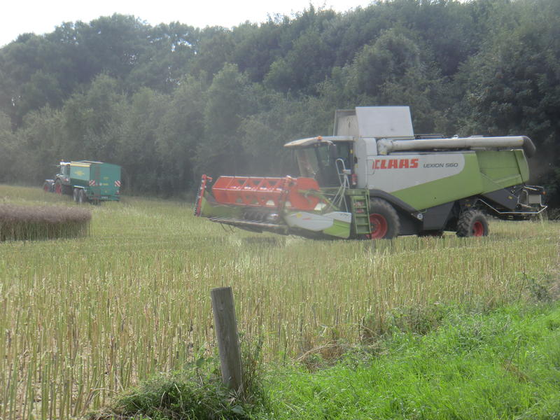 bilder/31_7_2014/CIMG7340.jpg