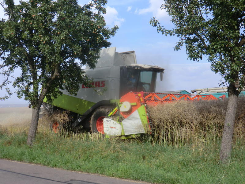 CIMG7345.jpg