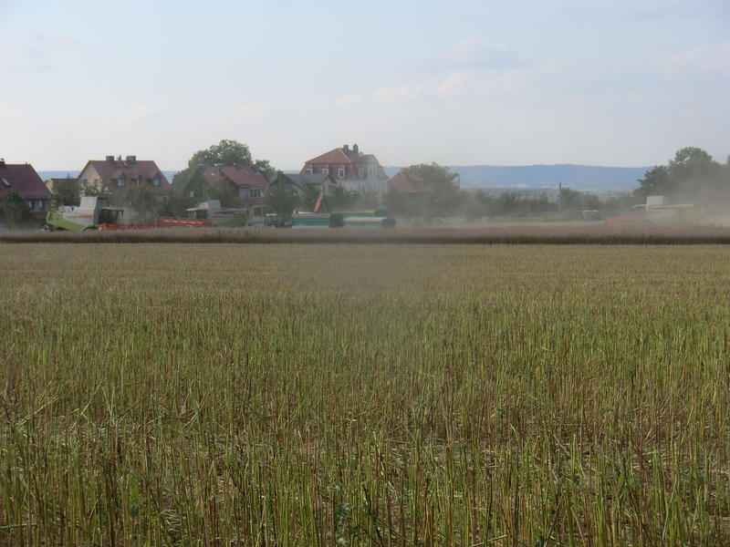 bilder/31_7_2014/CIMG7392.jpg