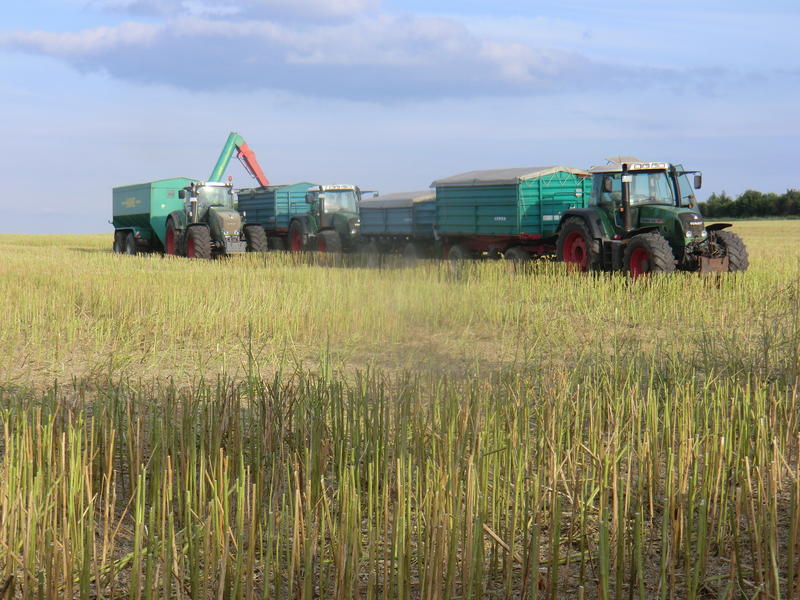 CIMG7400.jpg