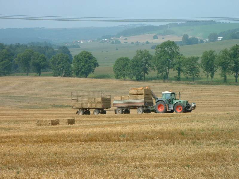 bilder/31_8_2002/ranger_+_fendt_824.jpg