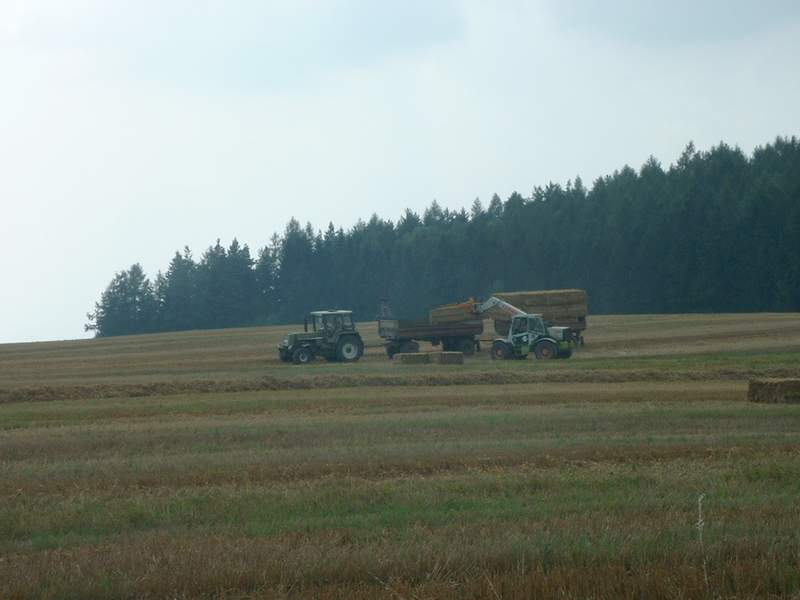bilder/31_8_2002/ranger_+_zt_323.jpg