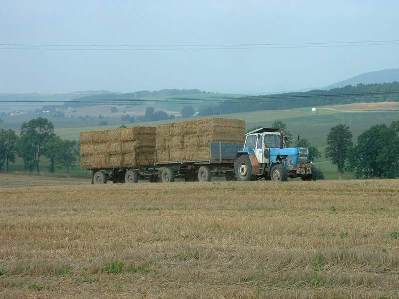 bilder/31_8_2002/zt_303_2.jpg