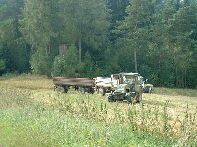 zt_323.jpg